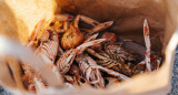 Mariscos. Foto: Unsplash.