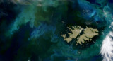 Las Islas Malvinas rodeadas de fitoplancton. Foto: Espectrómetro de Imágenes MODIS en el satélite Terra  de la NASA