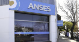 ANSES. Foto: NA.