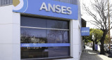 ANSES. Foto: NA.