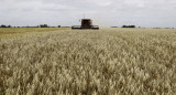 Campo argentino. Foto: NA