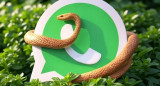 WhatsApp en modo Serpiente de Madera. Foto: Grok.