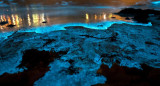 Olas fluorescentes. Foto: Noticias Ambientales.