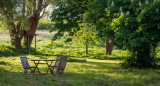 Jardín, patio, naturaleza. Foto: Unsplash.