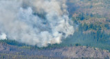 Incendios en la Patagonia. Foto: NA.