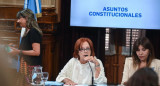 Debate de la suspensión de las PASO en la comisión de Asuntos Constitucionales del Senado. Foto: NA.