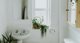 Plantas, baño. Foto Unsplash