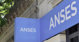 ANSES. Foto: NA.