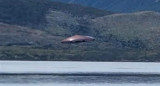 Aseguran haber visto un OVNI en el Canal Beagle. Foto: Diario Jornada