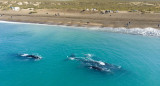 Playa Las Canteras, Chubut. Foto: Tripadvisor.