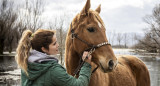 Caballo. Foto Freepik