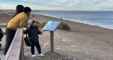 Avistaje de ballenas en El Doradillo, Puerto Madryn, Chubut. Foto: Pato Daniele