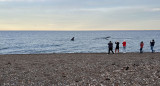 Avistaje de ballenas en El Doradillo, Puerto Madryn, Chubut. Foto: Pato Daniele