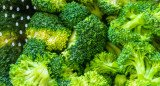 Brócoli. Foto: Freepik.