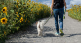 Pasear al perro. Foto: Unsplash.