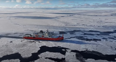 Un grupo de investigadores encontró extrañas criaturas marinas durante una expedición a la Antártida. Foto: YouTube / Australian Antarctic Program Partnership.