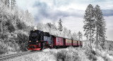 Trenes, viaje. Foto: Pixabay.
