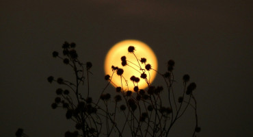 Luna, microluna. Foto Unsplash