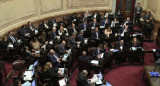 Debate de Ficha Limpia en el Senado. Foto: NA.