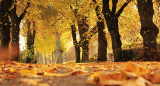 Clima, otoño. Foto: Pexels.