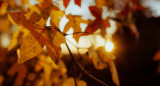 Otoño. Foto Unsplash