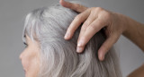 Canas. Foto Freepik