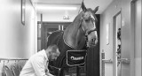 Peyo, el caballo que acompaña a pacientes con cáncer. Fuente: Instagram @docteur_peyo
