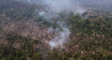 La pérdida de bosques tropicales primarios se duplicó en 2024 por culpa de los incendios. EFE
