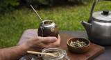 Mate, infusión. Foto: Freepik.