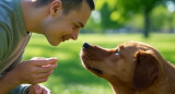 Mascota, animales, perro. Foto: X/Grok.