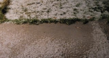 Granizo en Mendoza. Foto: X @condoblezeta_