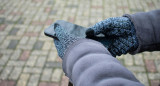 Los guantes de lana ya no son tendencia. Foto: Pixabay.
