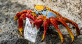 Plasticósfera, un documental sobre la contaminación de plásticos y microplásticos. Foto: Sergio Izquierdo