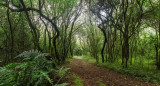 Parque Nacional El Rey. Fuente: Parques Nacionales