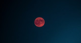 La luna de fresa llegará este miércoles 11 de junio. Foto: Unsplash.