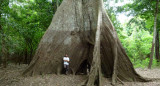 Preocupa el cambio climático en la Amazonia. Fuente: EFE