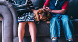 Perros, niños, mascotas. Foto: Pixabay.