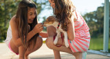 Perros, niños, mascotas. Foto: Pixabay.