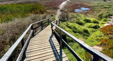 Ruta de los Abastos, Chile. Fuente: Ruta de los abastos
