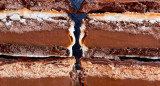 Alfajores Orense. Foto Instagram @orense.alfajores